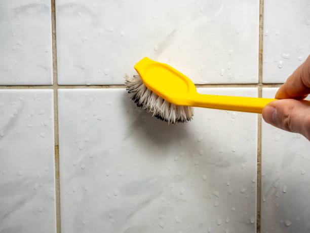 Certified Mold Removal in Lake St Croix Beach, MN
